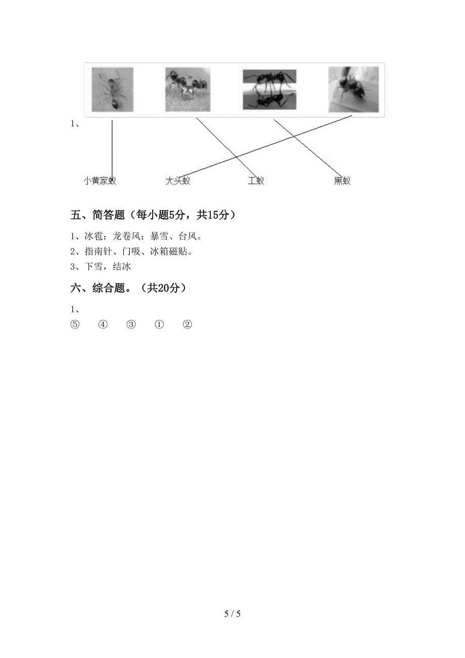 苏教版二年级科学上册期中试卷【带答案】.doc_第5页