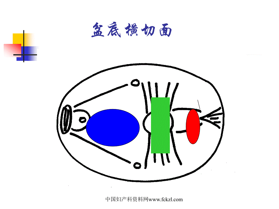 盆底重建手术治疗新进展_第4页