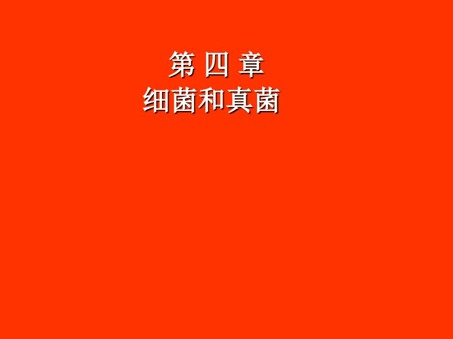 山东省八年级生物会考复习ppt课件：11细菌和真菌、病毒(人教版)_第1页