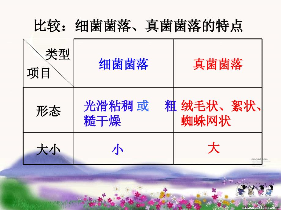 山东省八年级生物会考复习ppt课件：11细菌和真菌、病毒(人教版)_第4页