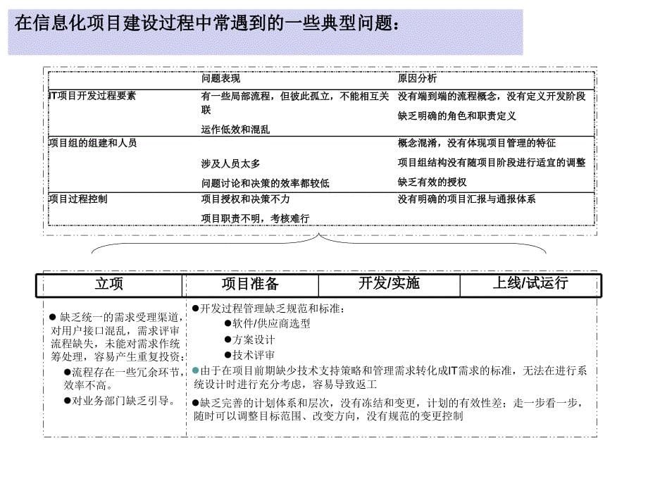 企业信息资源规划_第5页