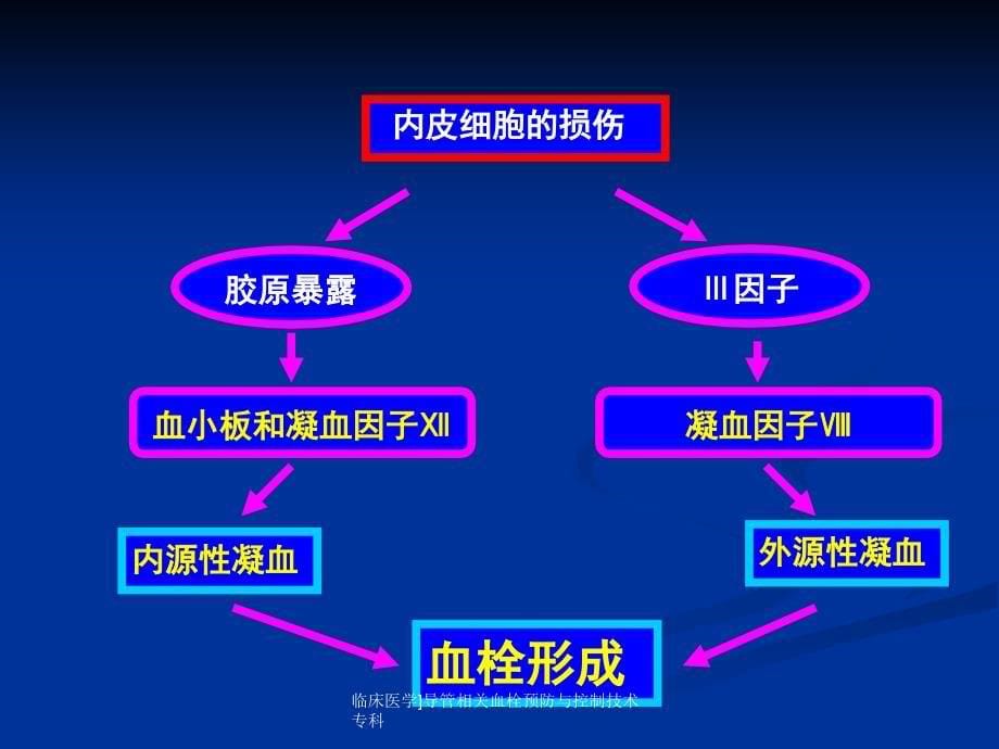 临床医学导管相关血栓预防与控制技术专科课件_第5页