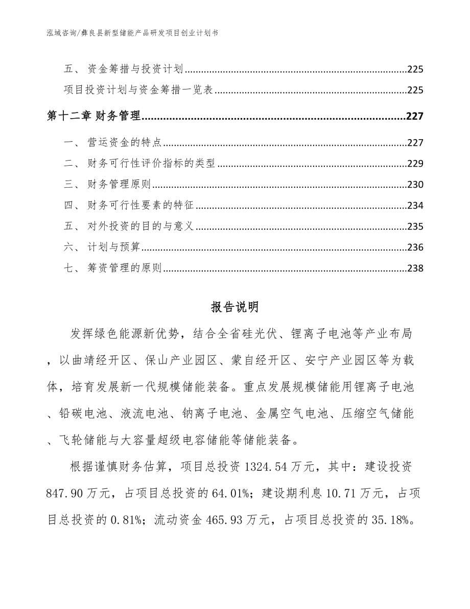 彝良县新型储能产品研发项目创业计划书参考范文_第5页