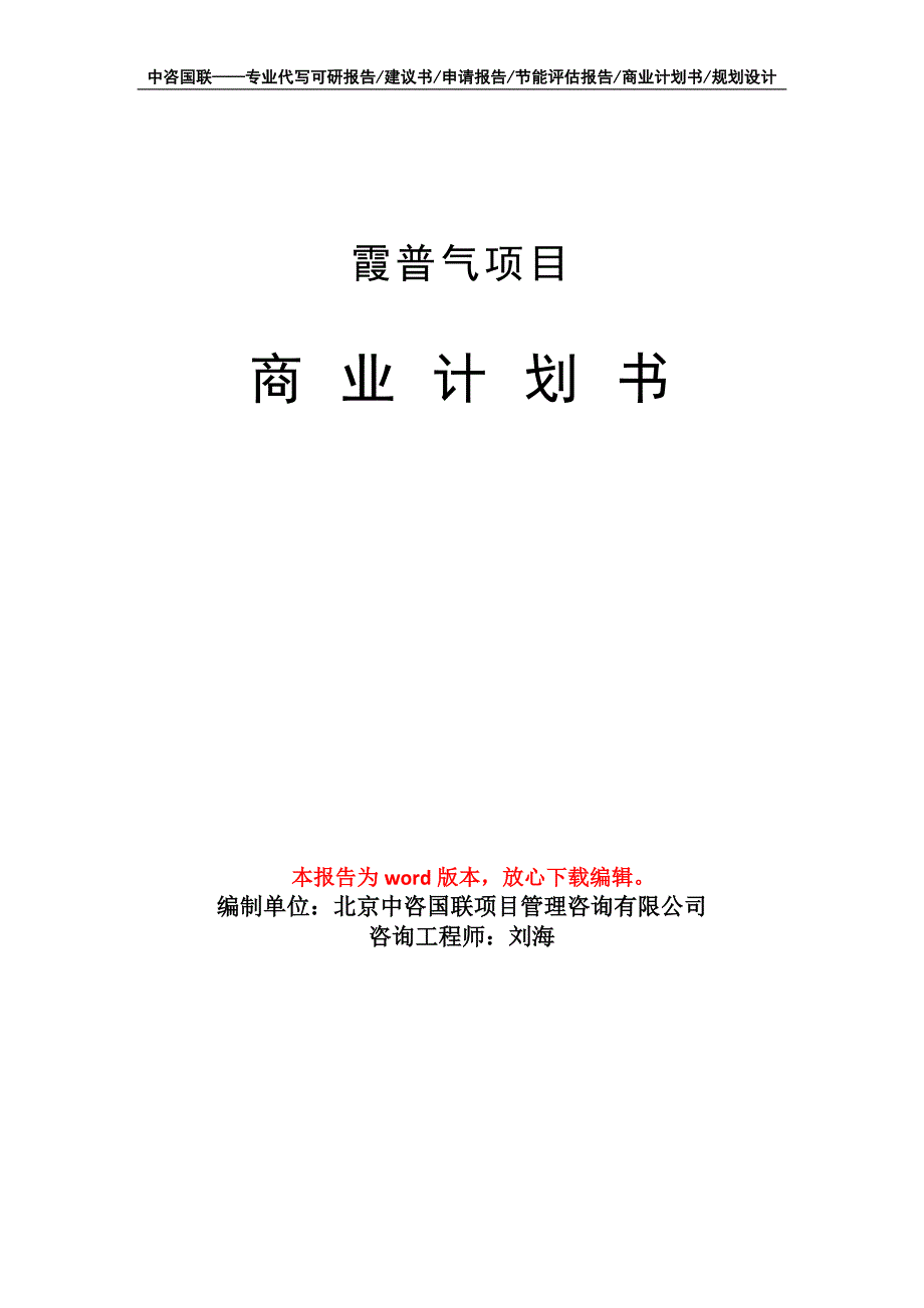 霞普气项目商业计划书写作模板_第1页