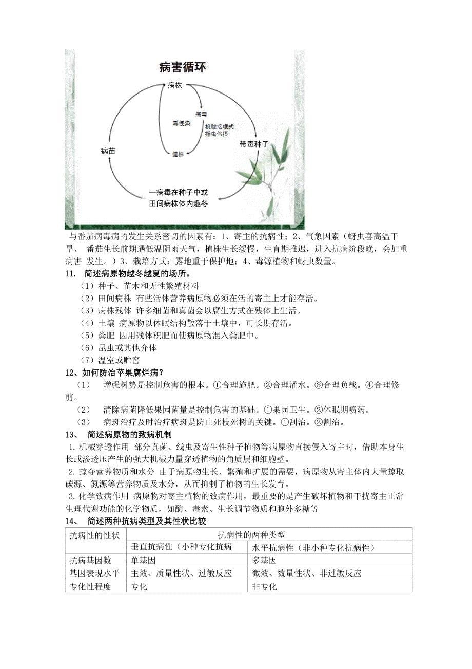 病理学试题_第5页