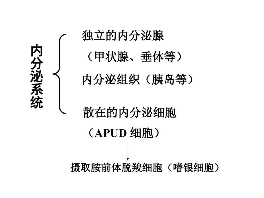 内分泌系统疾病1_第2页