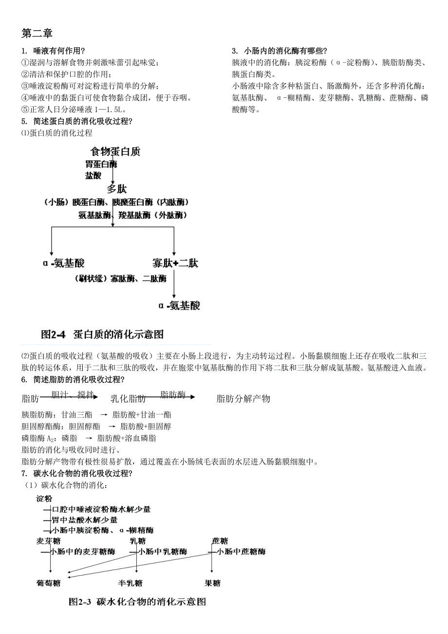 食品营养学思考题_第1页