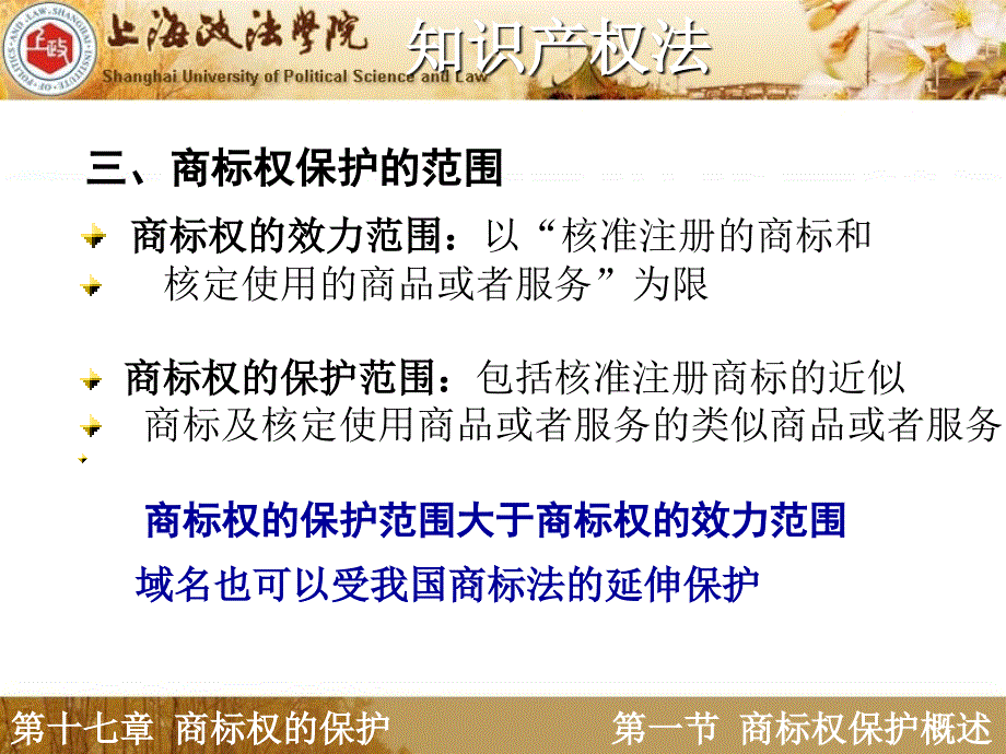 十七章节商标权保护_第4页