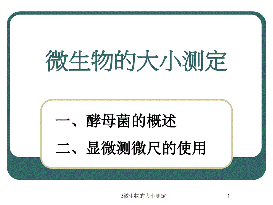 微生物的大小测定课件_第1页