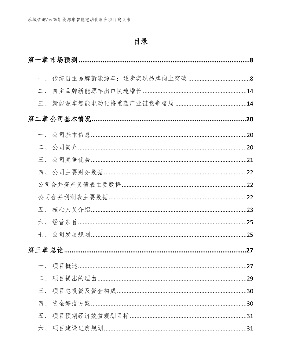 云南新能源车智能电动化服务项目建议书（模板）_第2页