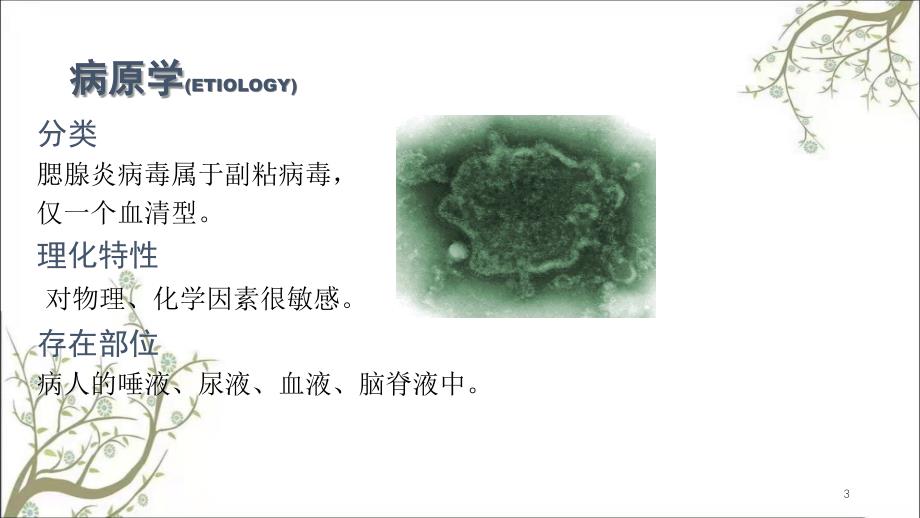 流行性腮腺炎2课件_第3页