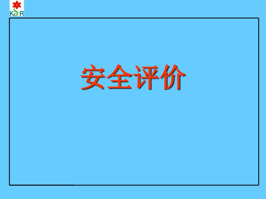 安全评价解析_第1页