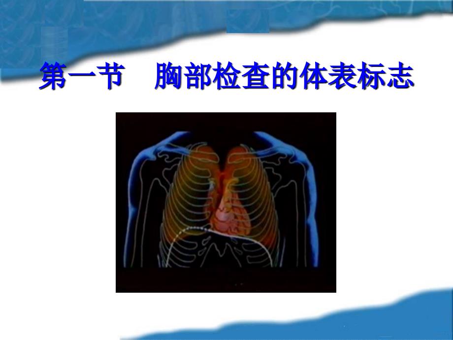 1.胸肺部检查胸部检查xsq_第2页