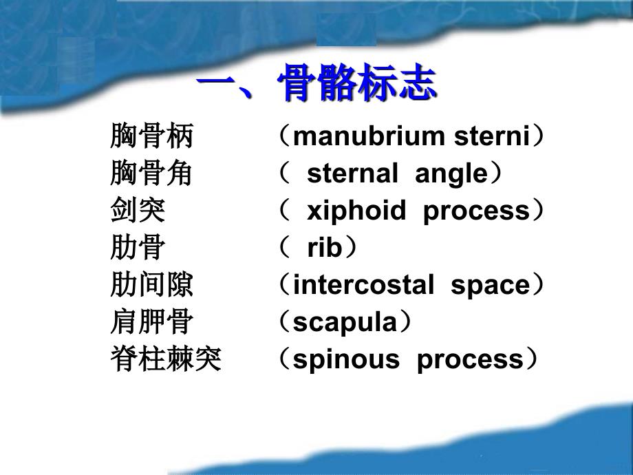 1.胸肺部检查胸部检查xsq_第4页