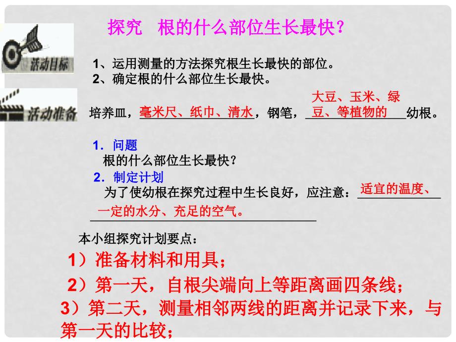 山东省文登实验中学七年级生物 《植株的生长》课件_第4页