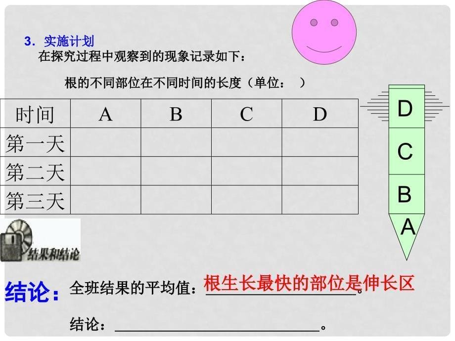 山东省文登实验中学七年级生物 《植株的生长》课件_第5页