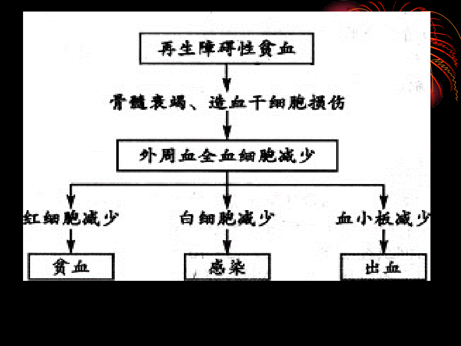 再生障碍性贫血病人护理常规PPT文档_第2页