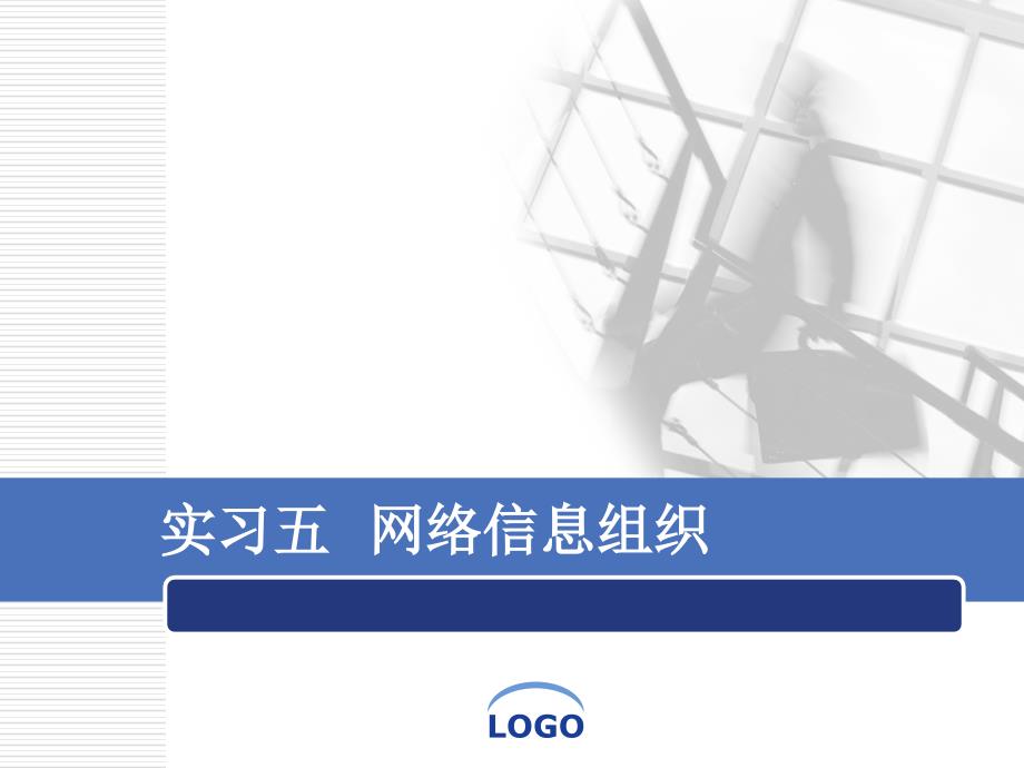 信息组织学：实习五 网络信息组织_第1页