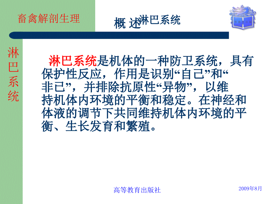 畜禽解剖生理第十章淋巴系统课件_第2页