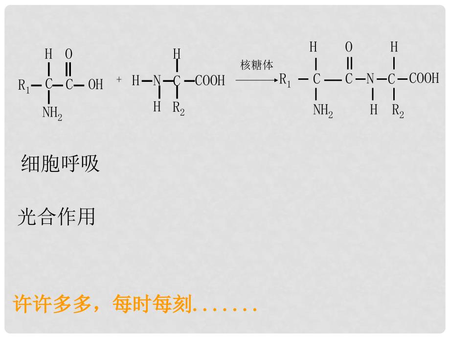 江苏省高中生物 第五章 第1节 酶在细胞代谢中的作用优质课大赛课件1 新人教版必修1_第3页