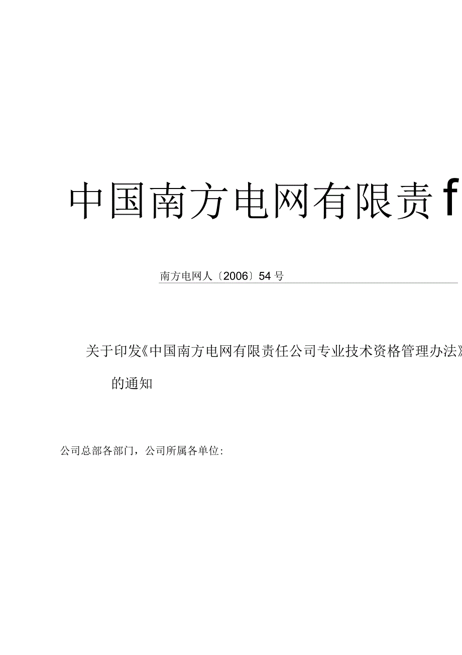 中国南方电网专业技术资格管理办法_第1页
