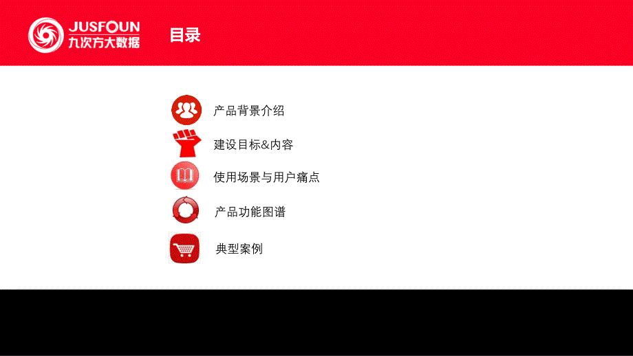 公安雪亮工程大数据平台介绍.ppt_第2页