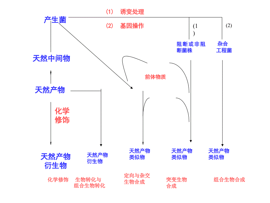 第4章-利用生物合成原理寻找微生物新药_第3页