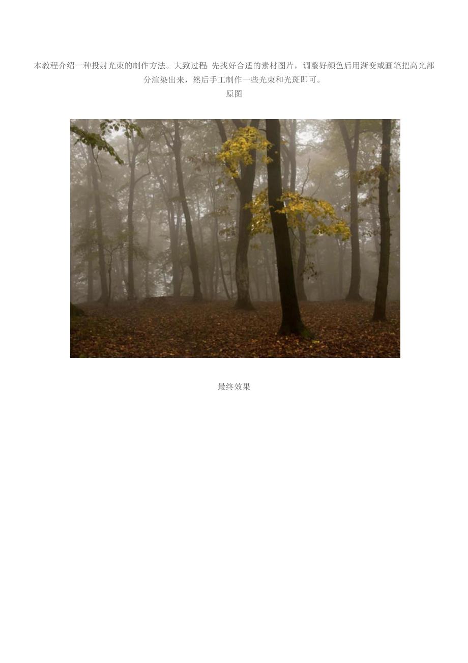 树林图片加上高清的投射光束ft Word 文档.doc_第1页
