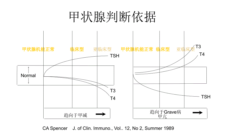 甲状腺激素的分泌_第4页