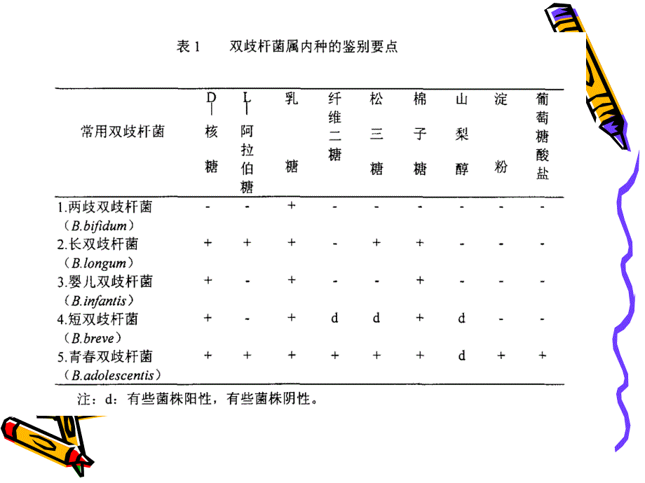 双歧杆菌的检测与鉴定食科0503唐逸甜朱凯艳_第3页