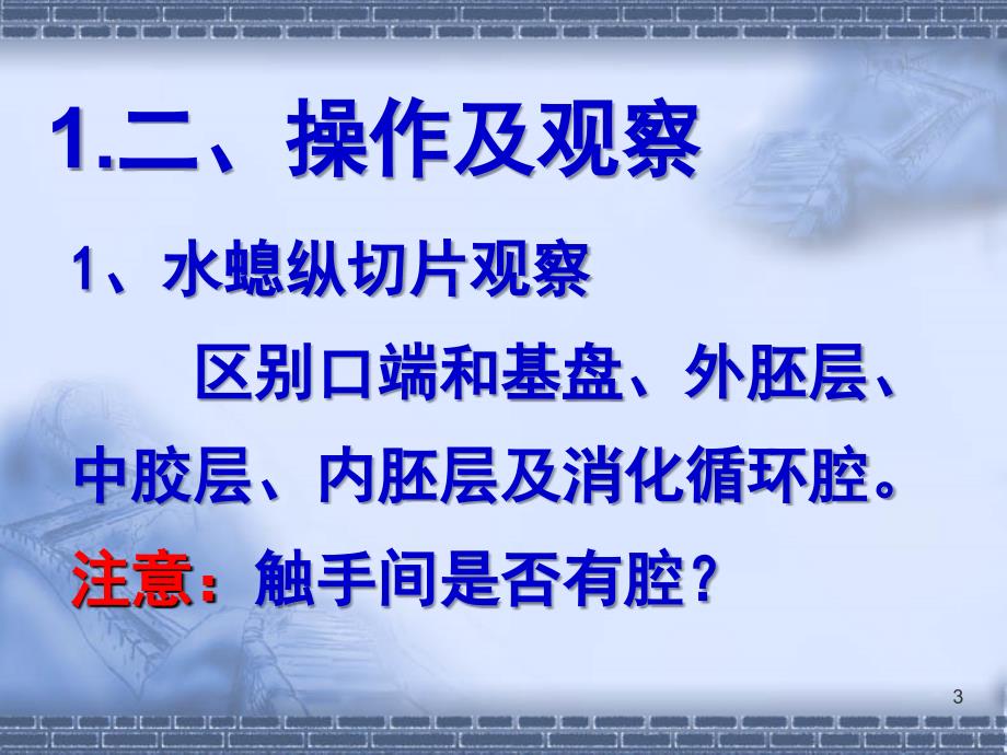 实验二水螅及其它腔肠动物_第3页