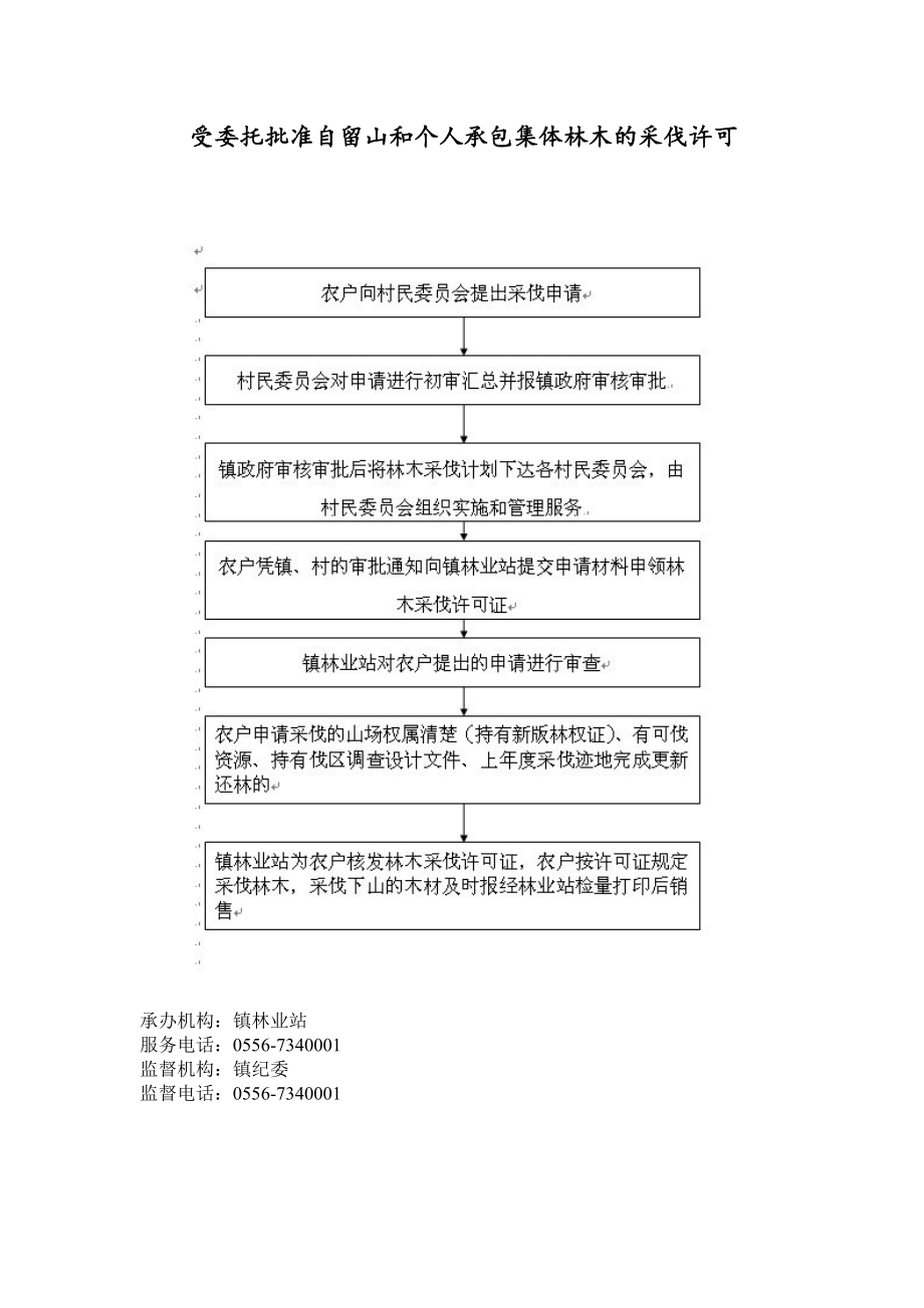 赛口镇政府权力清单和责任清单流程图_第2页