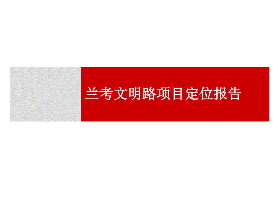 河南省兰考文明路项目定位报告63P_第1页