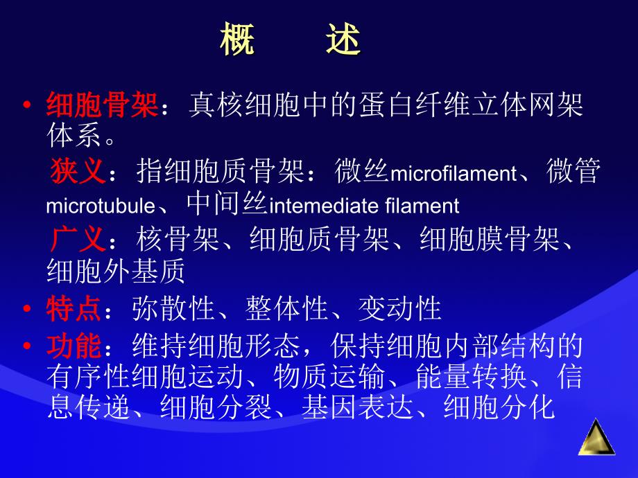 最新细胞骨架作用机理PPT文档_第2页