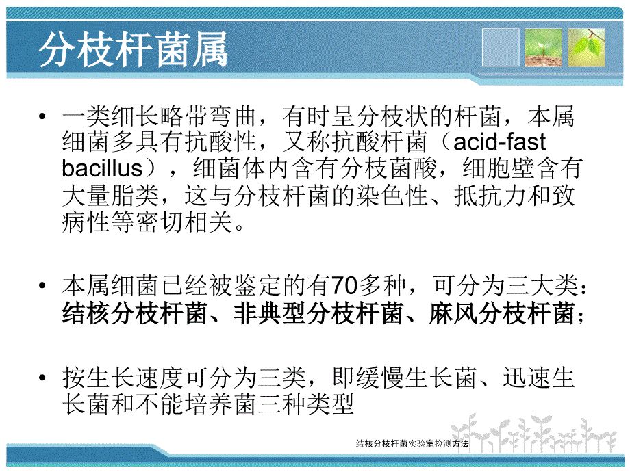 结核分枝杆菌实验室检测方法_第2页