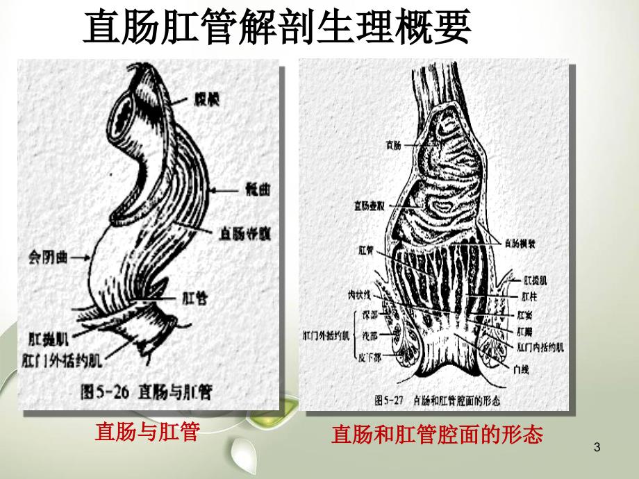 优质医学直肠和肛管疾病病人的护理_第3页