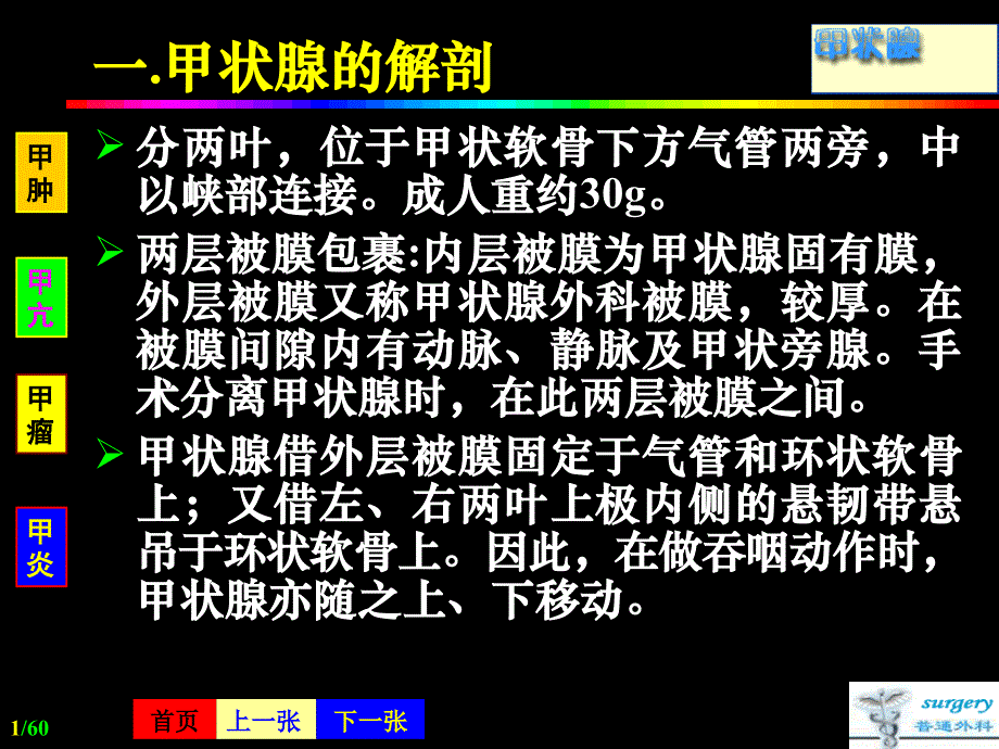 甲状腺Thyroid疾病PPT文档_第1页