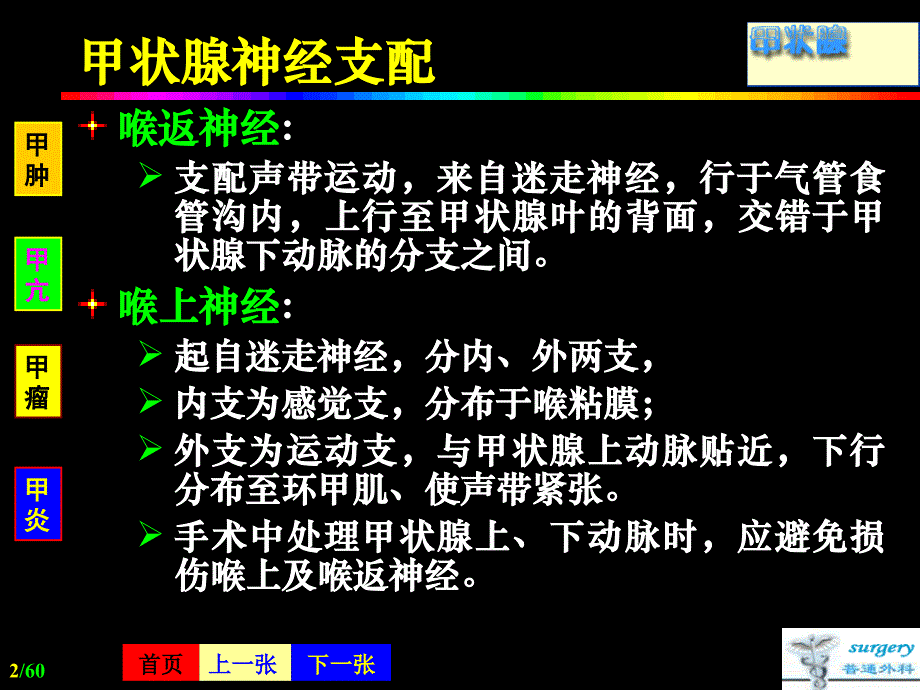 甲状腺Thyroid疾病PPT文档_第2页