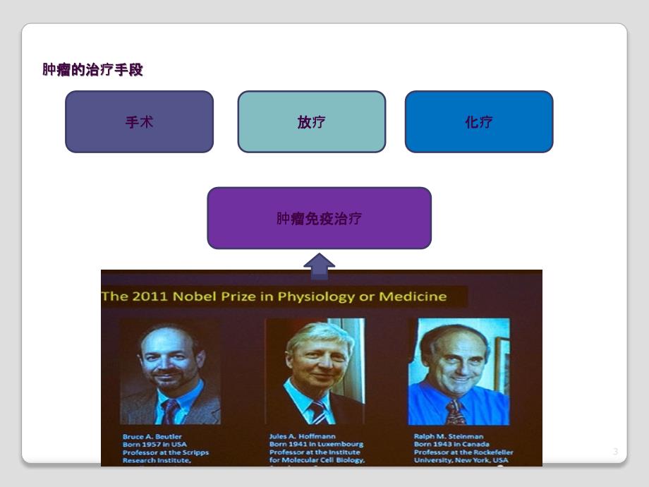 肿瘤免疫治疗ppt课件_第3页