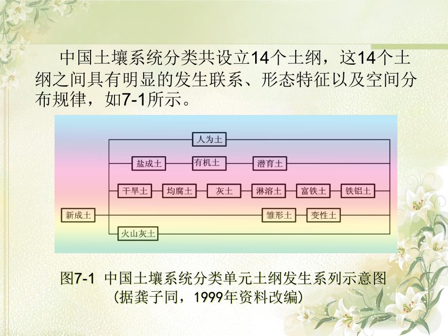 均腐土干旱土PPT课件_第2页