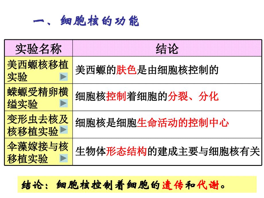 三节细胞核系统的控制_第4页