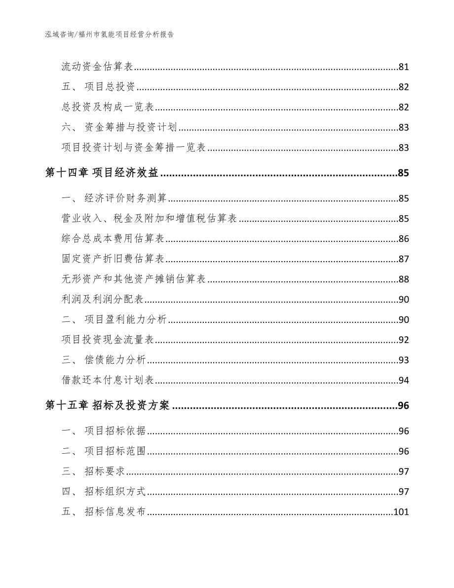 福州市氢能项目经营分析报告【模板范本】_第5页