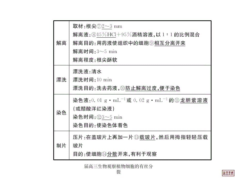 届高三生物观察植物细胞的有丝分裂课件_第4页