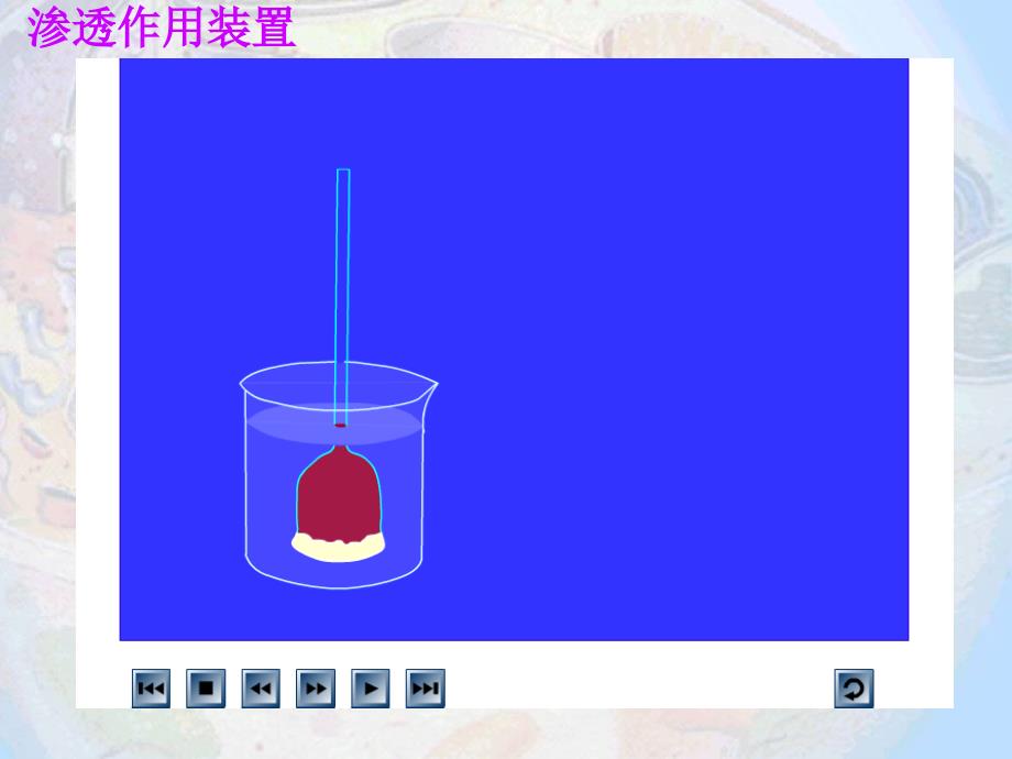 第一节 物质跨膜运输的实例_第4页