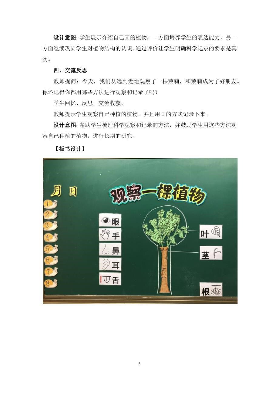 《观察一棵植物》教学设计.docx_第5页