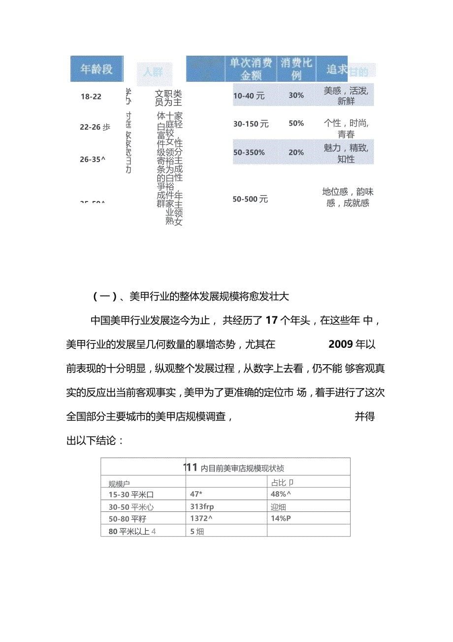 美甲店的前景及可行性分析_第5页