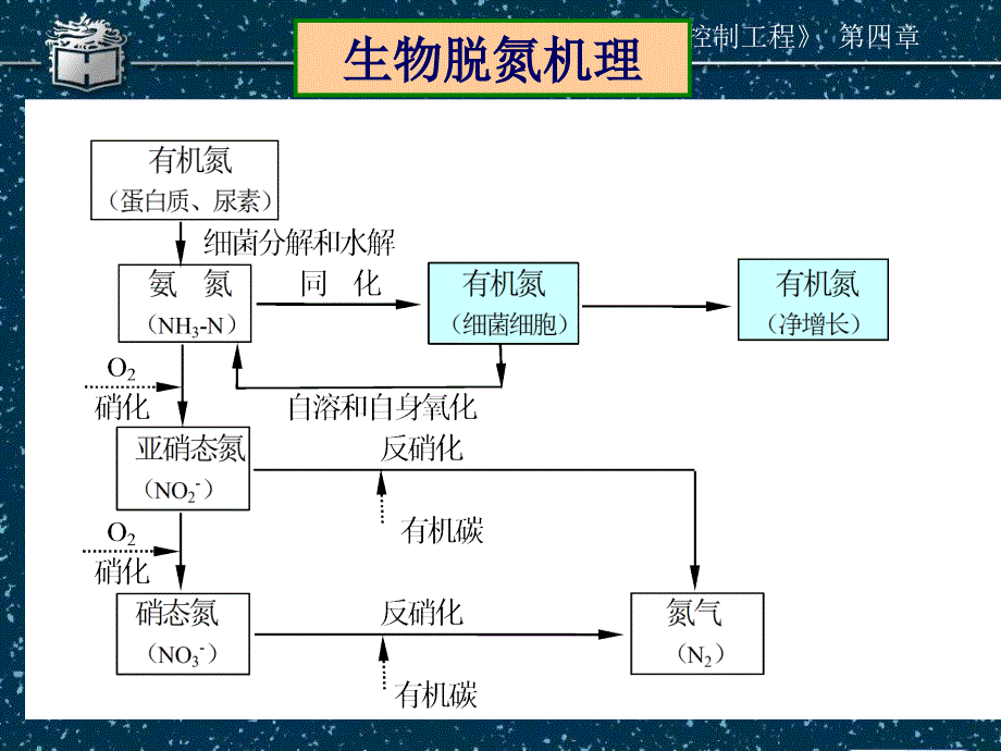 4-6脱氮、除磷活性污泥法工艺及其设计-精品文档资料整理_第4页