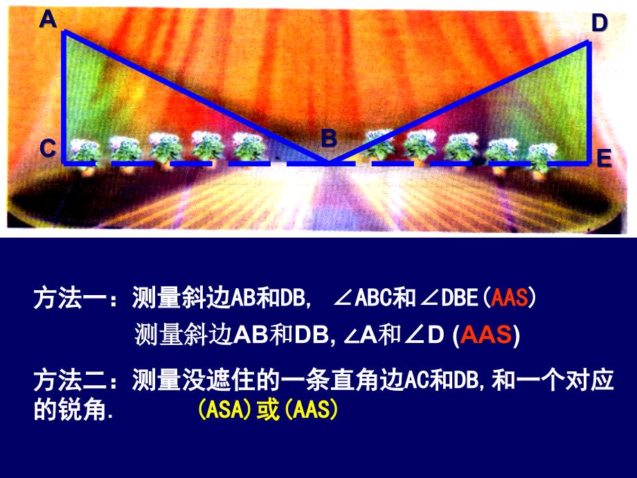 58探索直角三角形全等的条件[下学期]北师大版_第3页