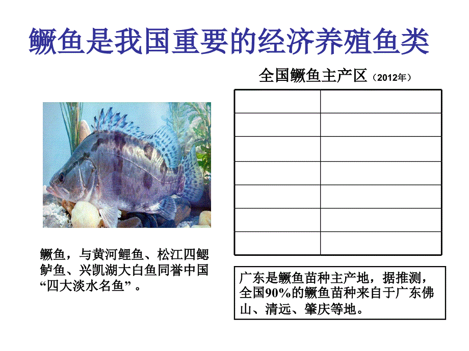 鳜鱼高效生态养殖技术ppt课件_第2页