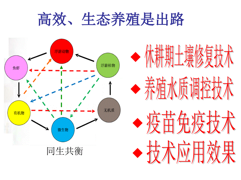 鳜鱼高效生态养殖技术ppt课件_第4页